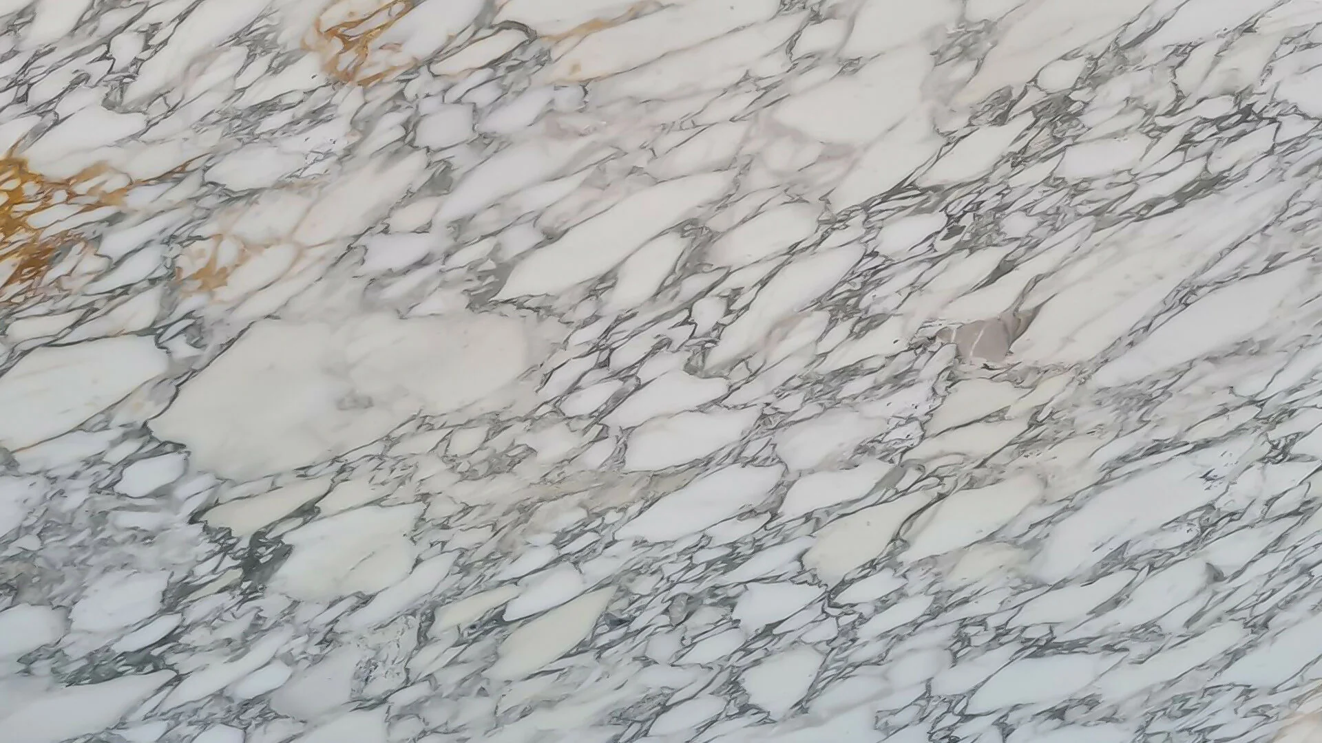 ARABESCATO VAGLI MARBLE - Image 2