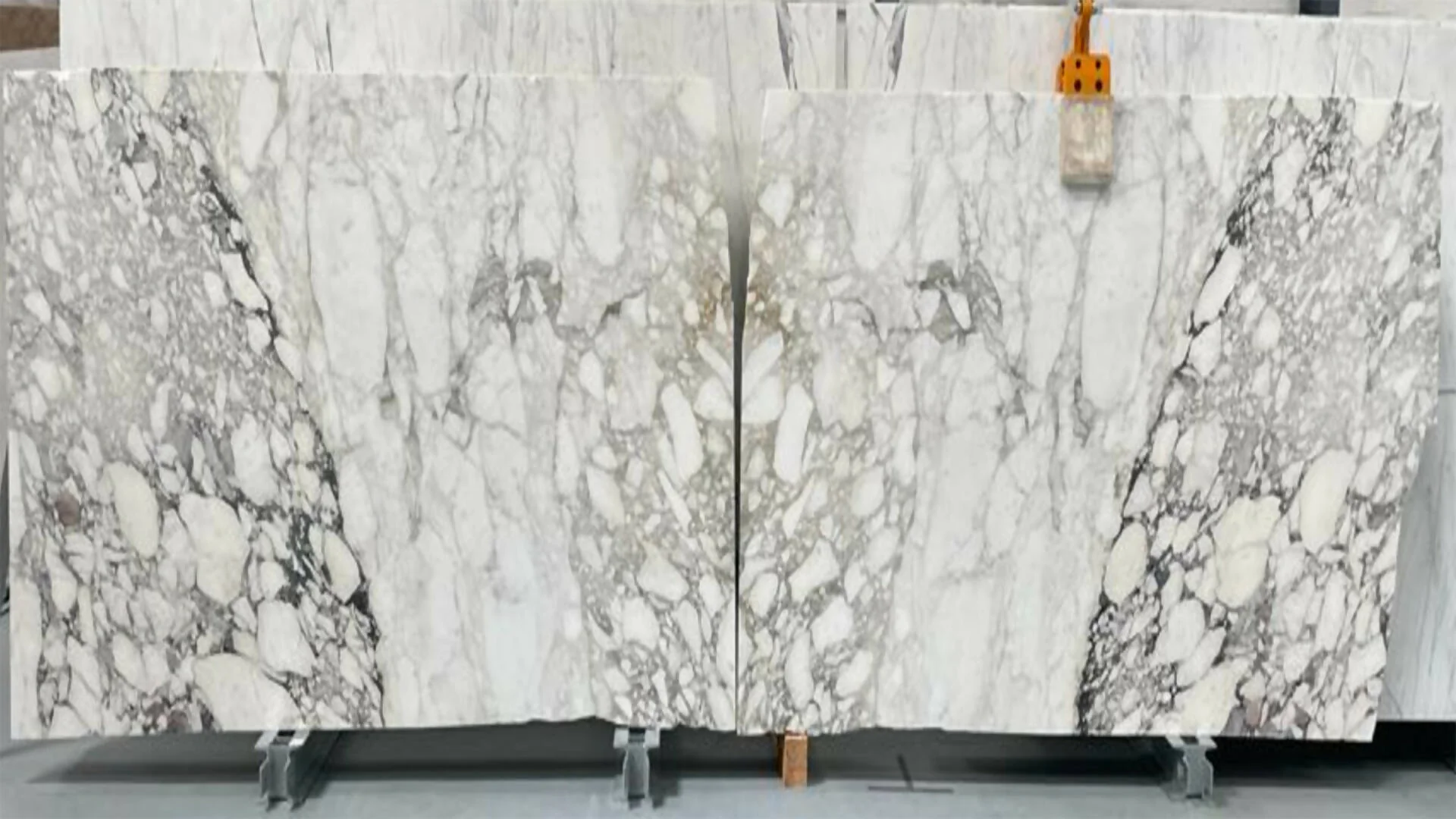 ARABESCATO VAGLI ORO MARBLE