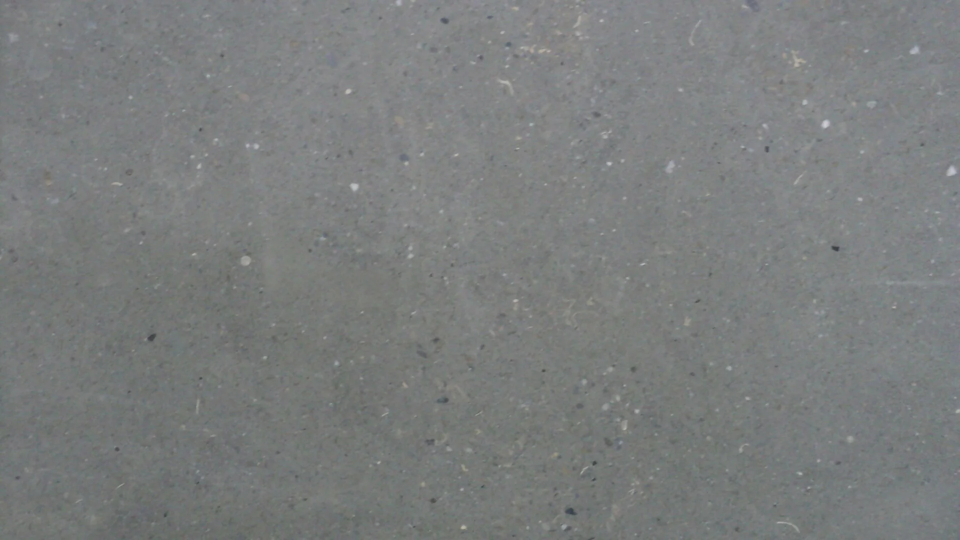 ARGENT LIMESTONE - Image 2