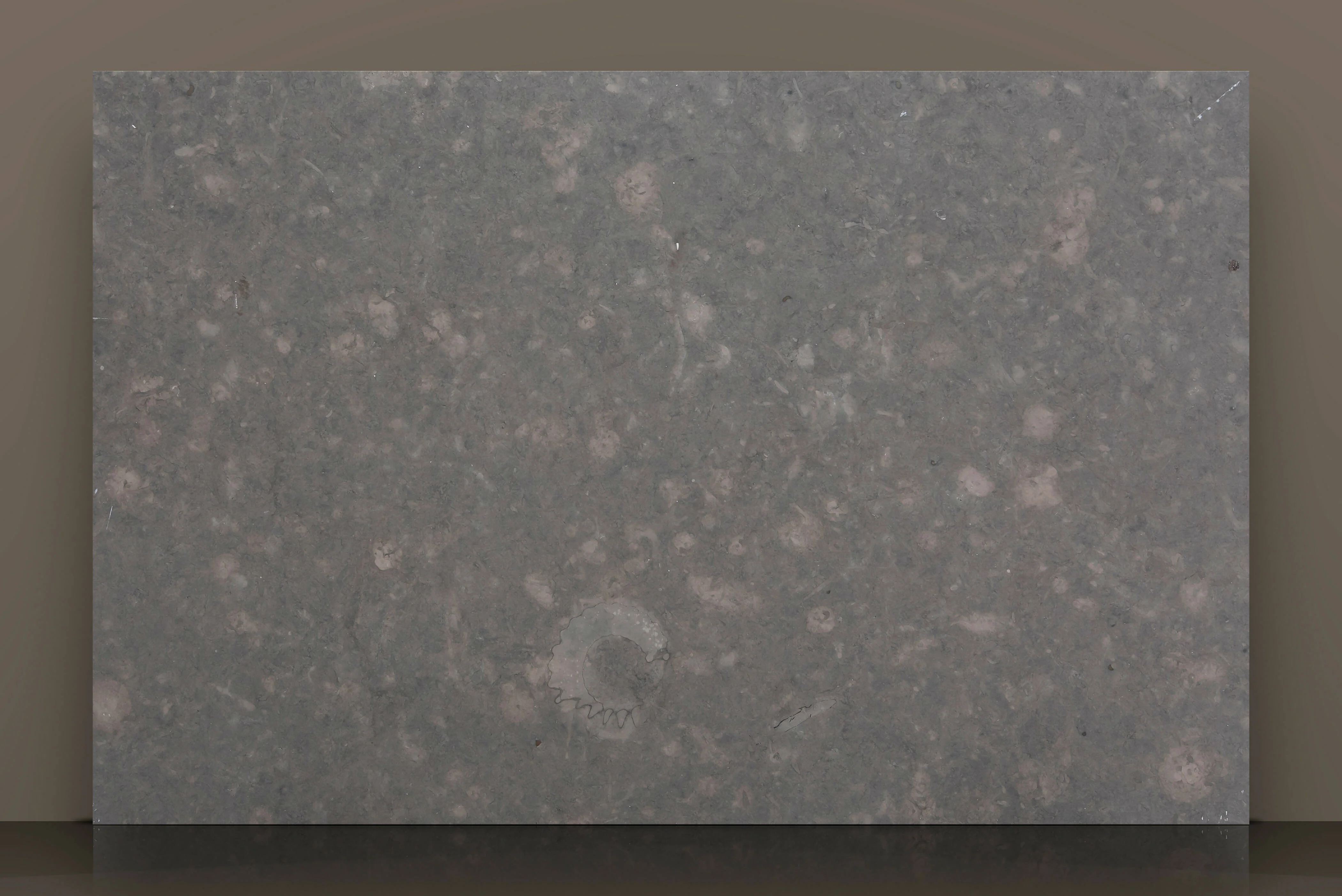 ARRIVAL LIMESTONE