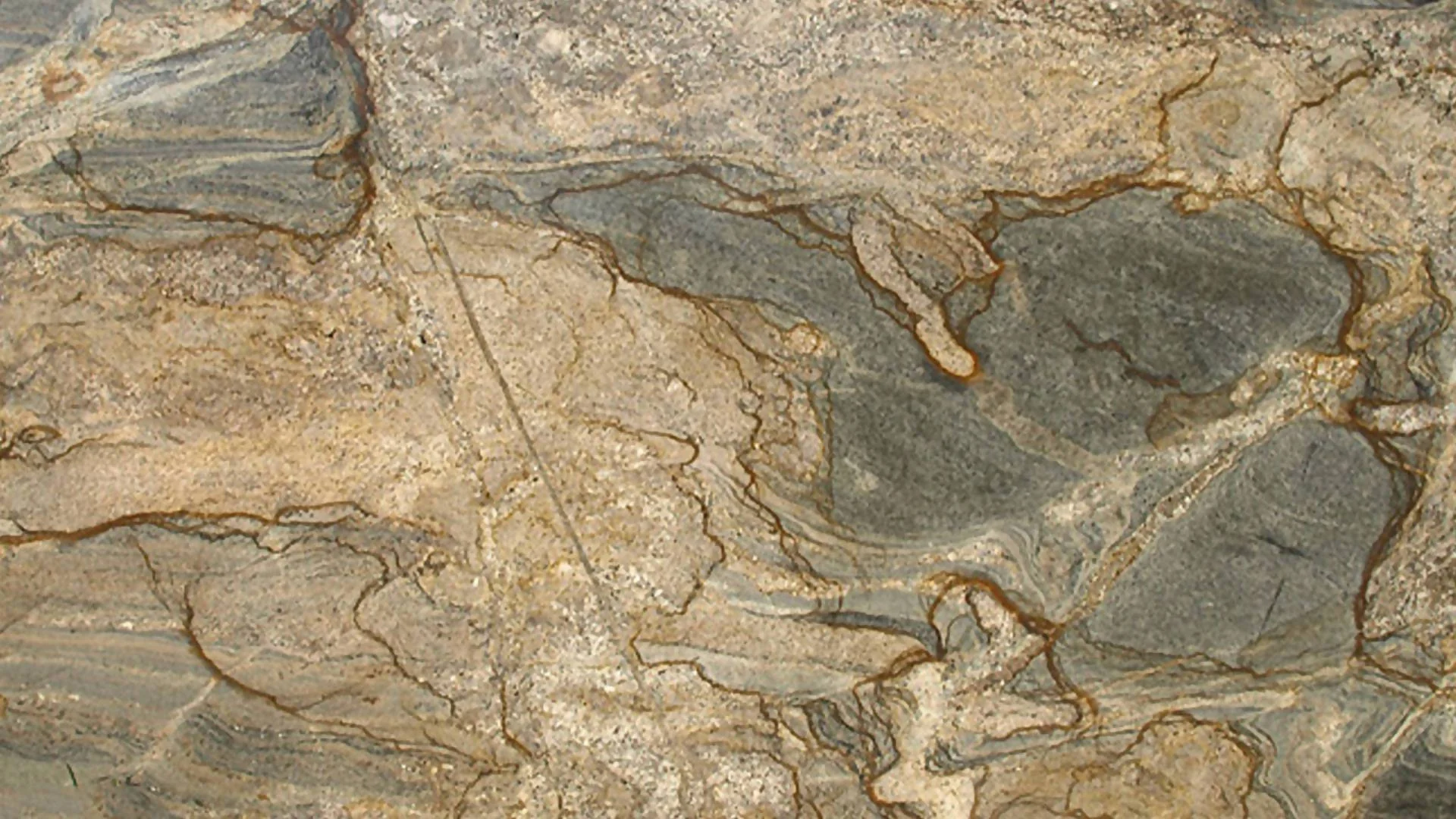AUSTRAL COFFEE GRANITE - Image 2