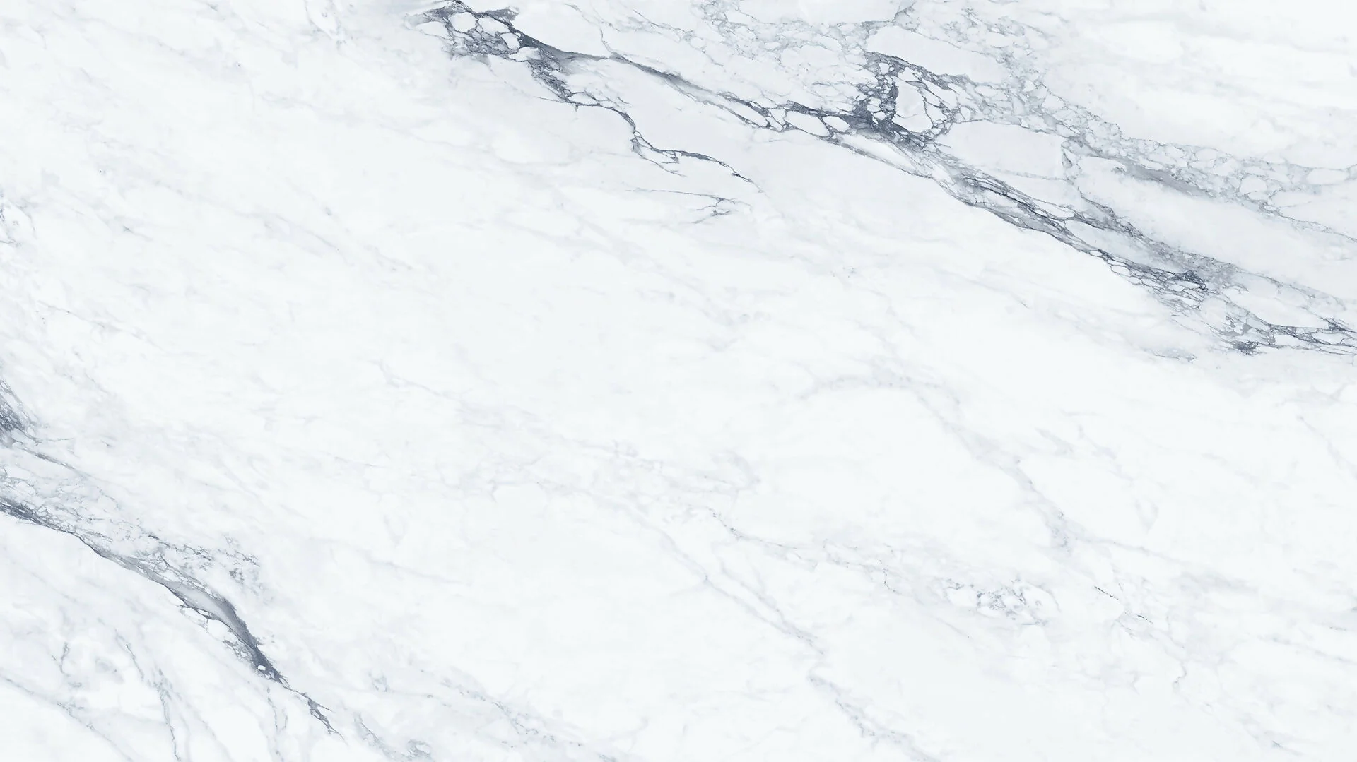 BERNINI PORCELAIN - Image 2