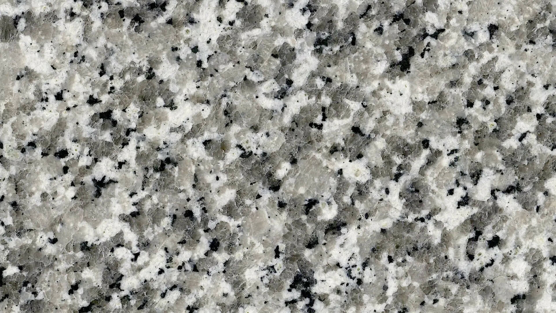 BIANCO SARDE F GRANITE - Image 2
