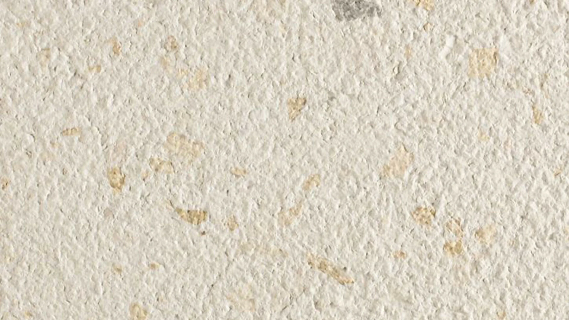 CA D' ORO TERRAZZO - Image 3