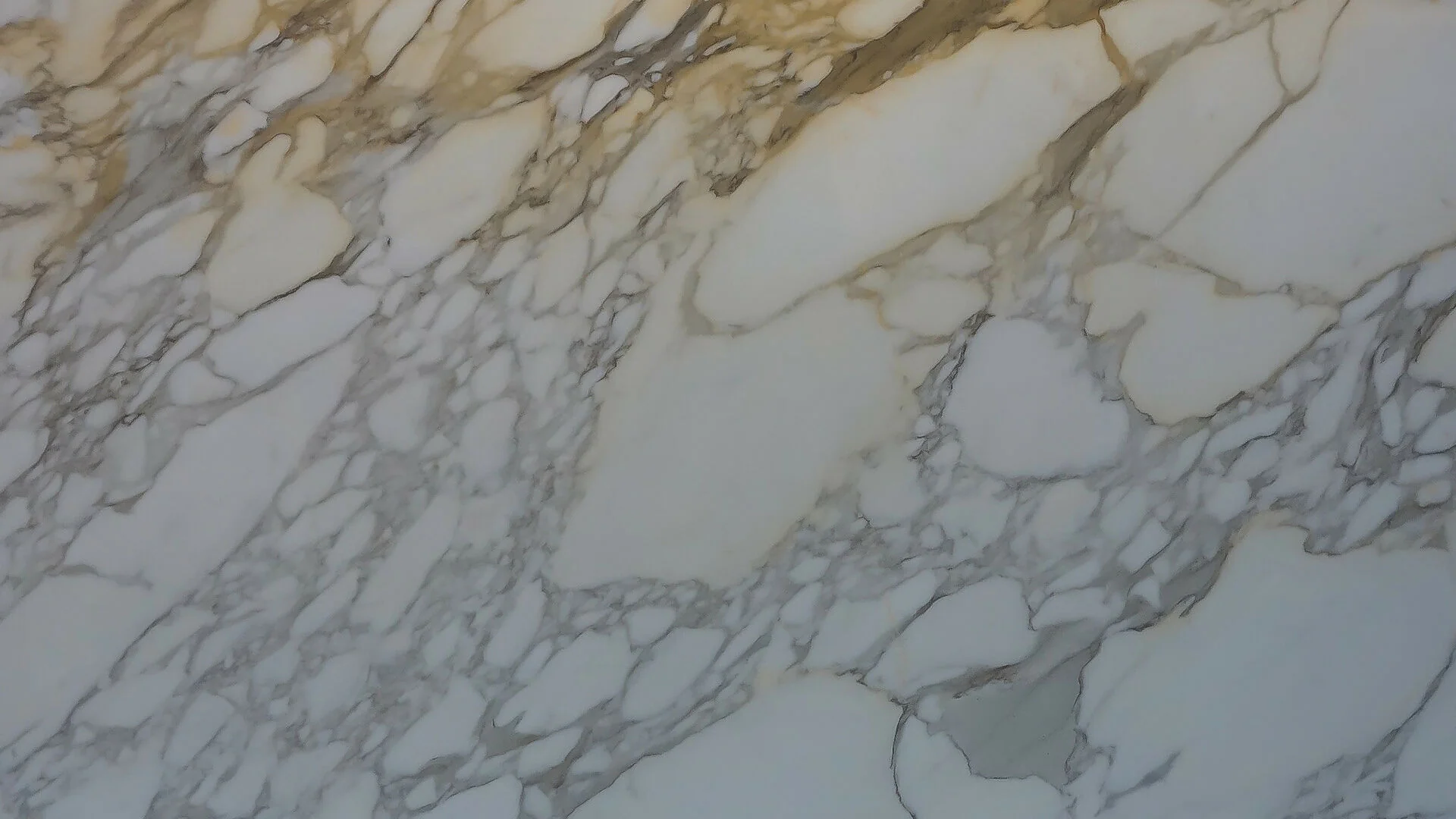 CALACATTA BORGHINI MARBLE - Image 3