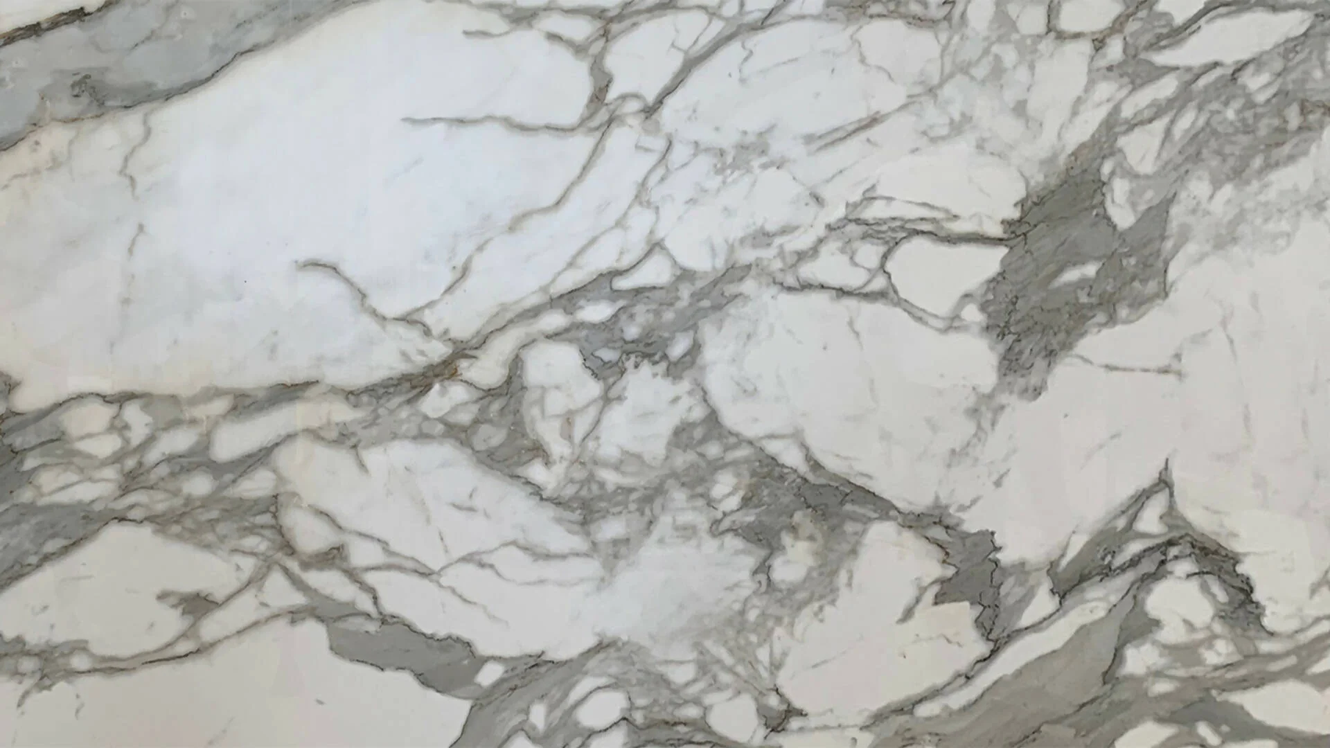 CALACATTA BORGHINI PORCELAIN - Image 2
