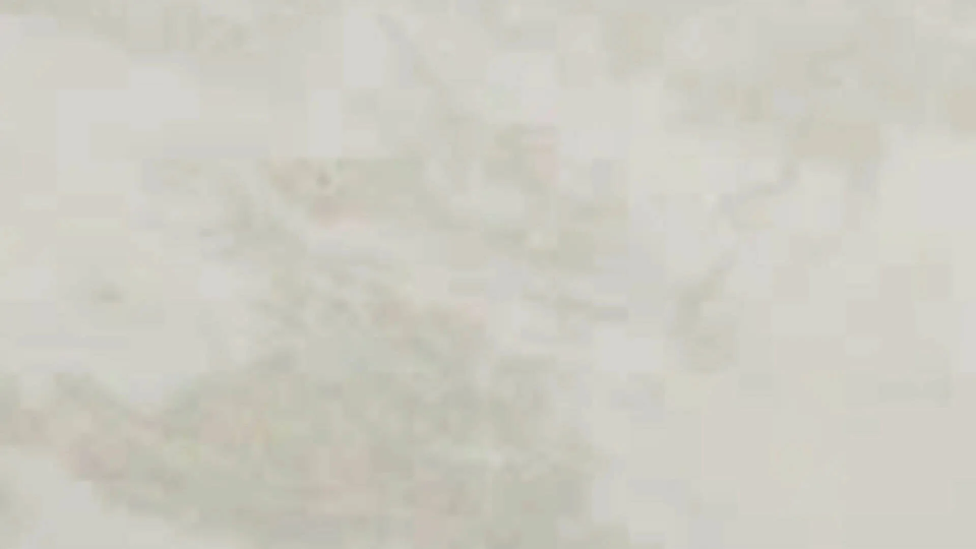CALACATTA LUSAKA / NAMIBIAN WHITE MARBLE - Image 2