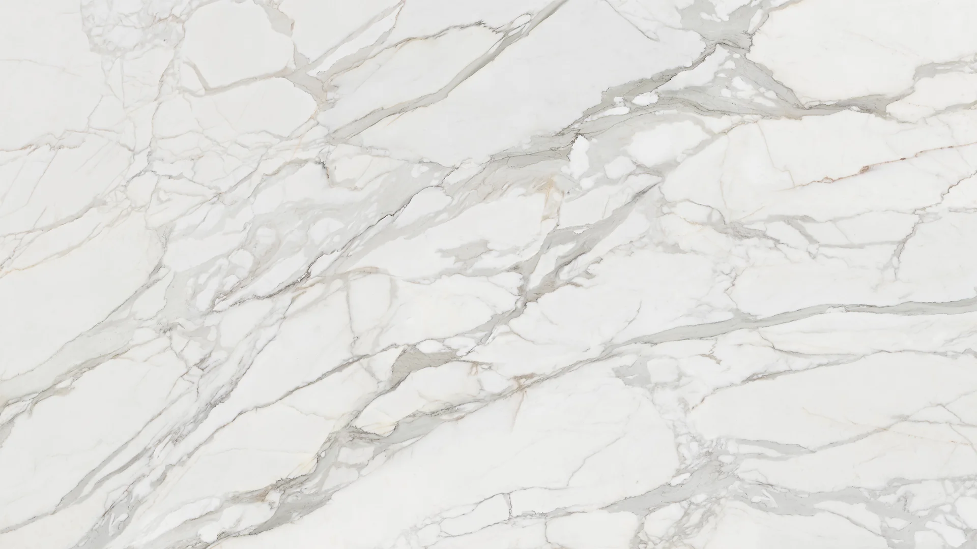 CALACATTA NEO NATURAL PORCELAIN - Image 3