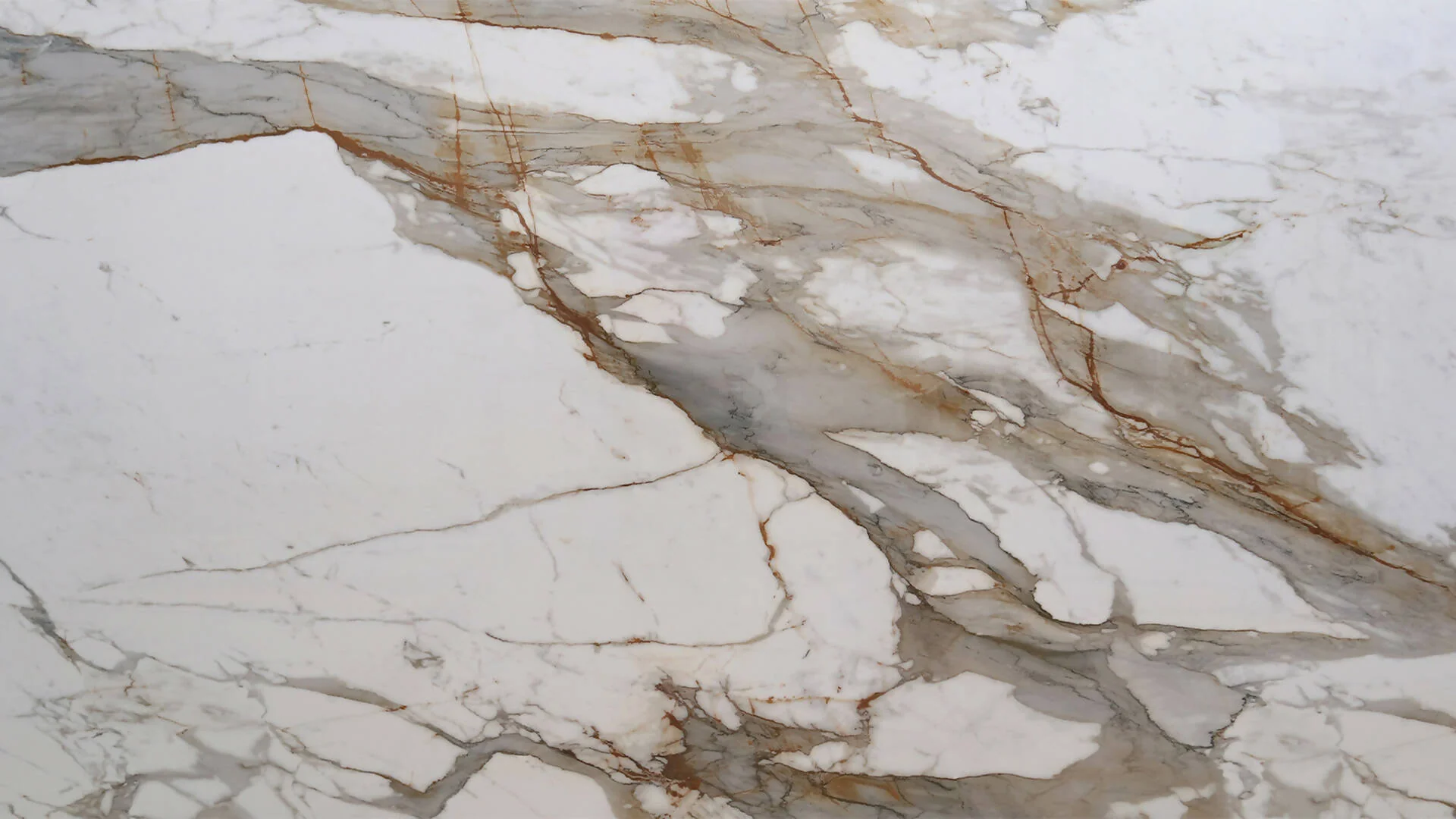 CALACATTA ORO BORGHINI PORCELAIN BOOKMATCH - Image 2
