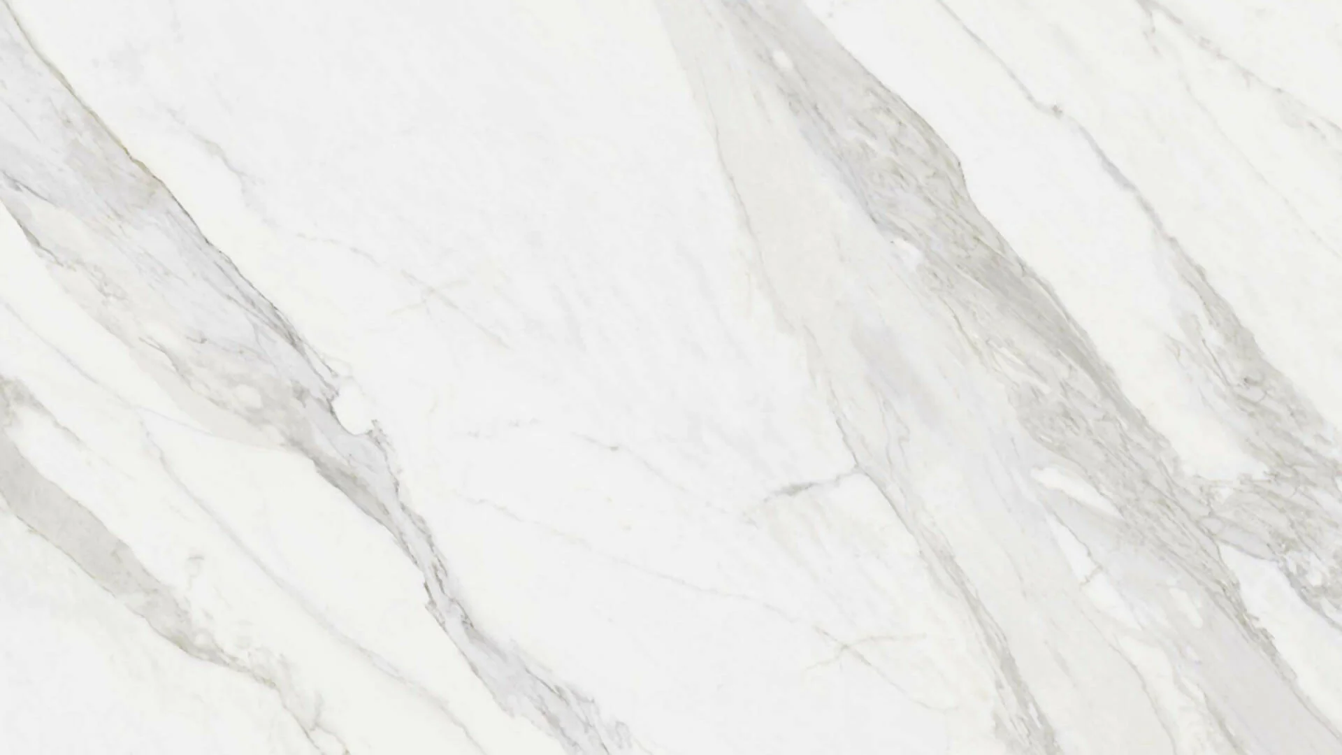 CALACATTA PORCELAIN - Image 2
