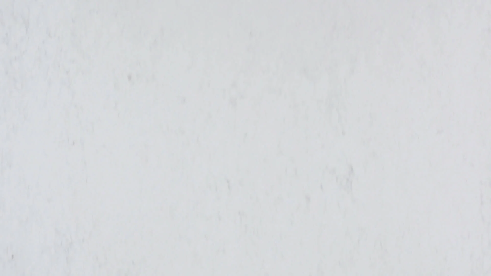 CARRARA (NEW) QUARTZ - Image 2
