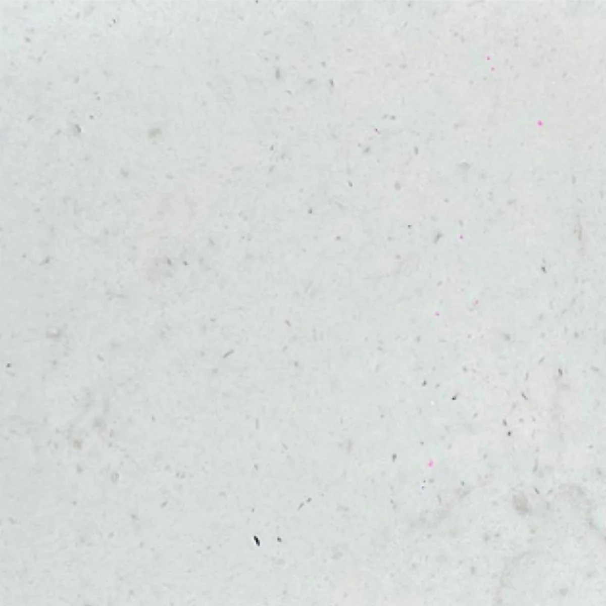 CARRARA SHIMMER QUARTZ