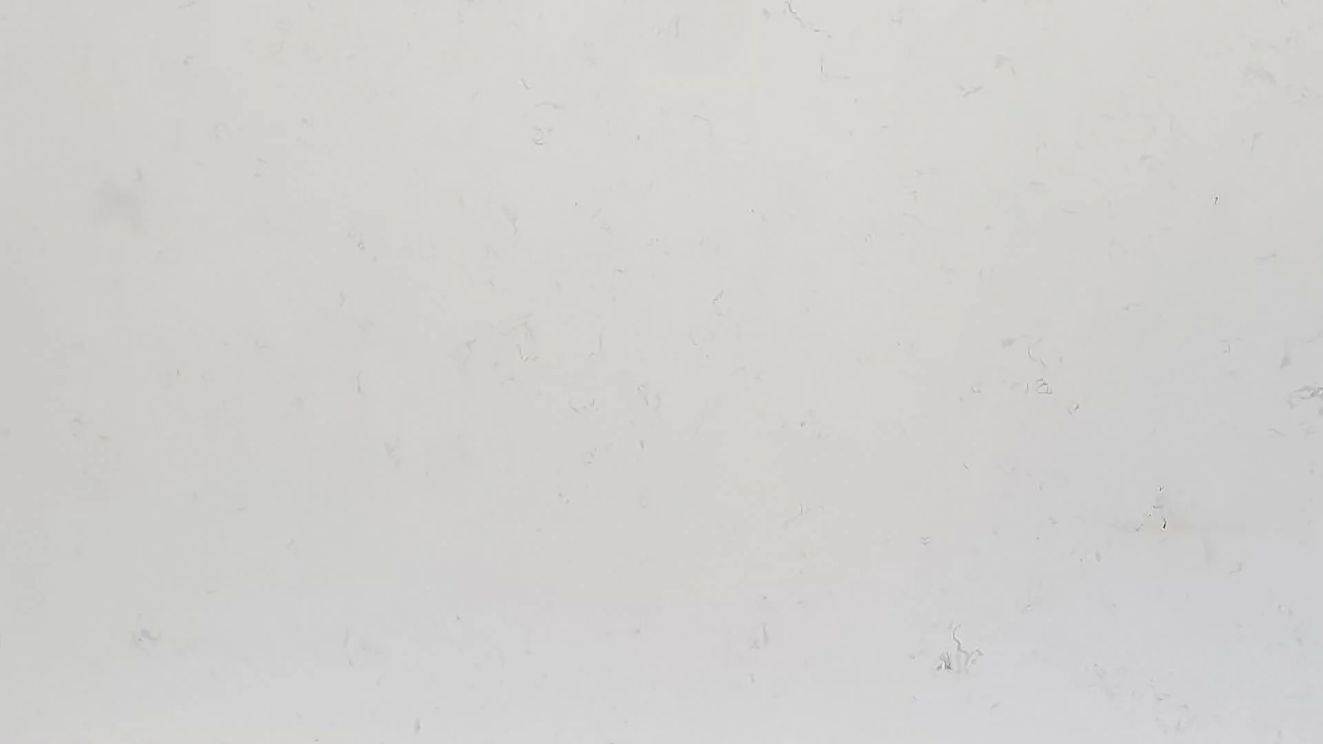 CARRARA WHITE EXTRA QUARTZ - Image 2