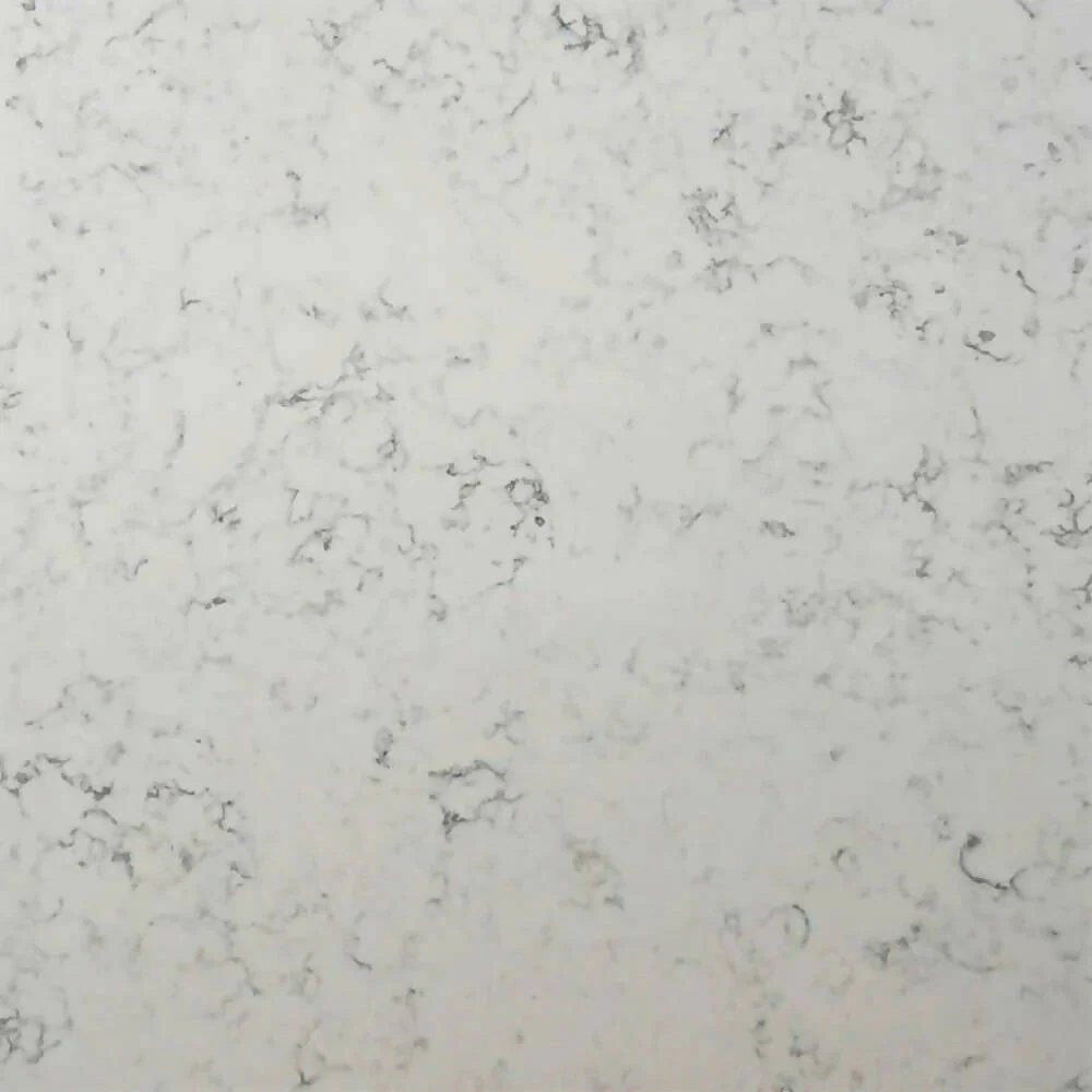 CARRERA EXTRA QUARTZ - Image 4