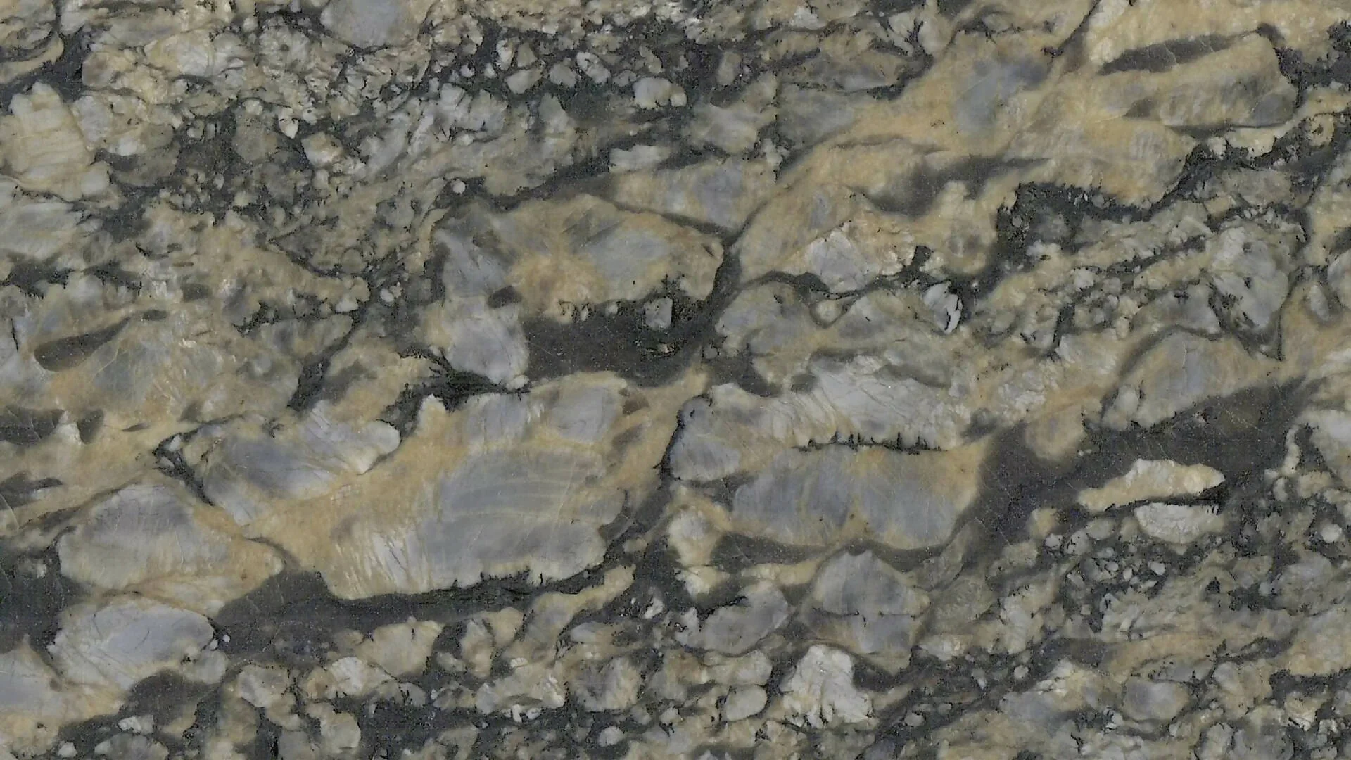CORAL GOLD GRANITE - Image 3
