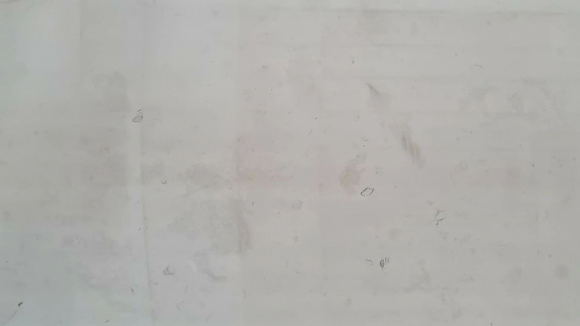 CREMA LUNA LIMESTONE - Image 2