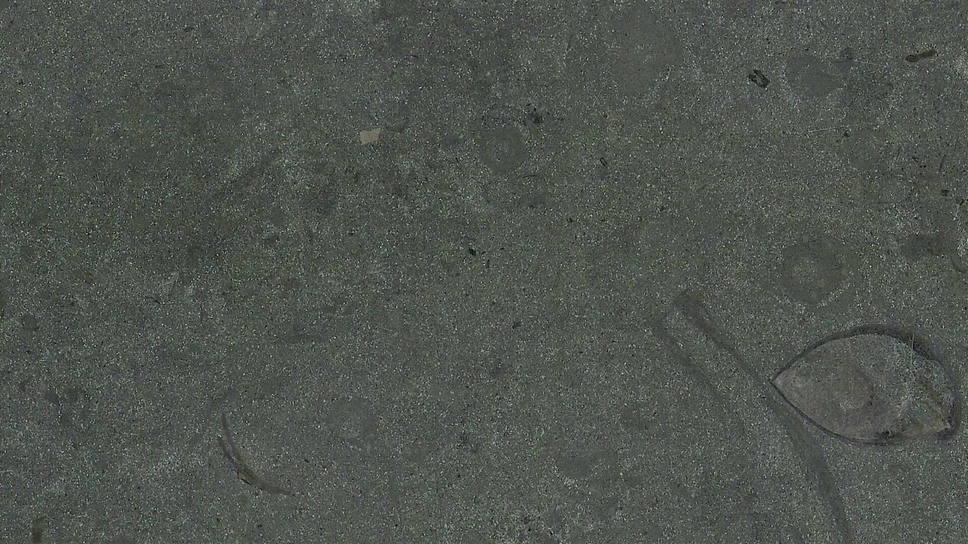 DOLOMITE MARBLE - Image 3
