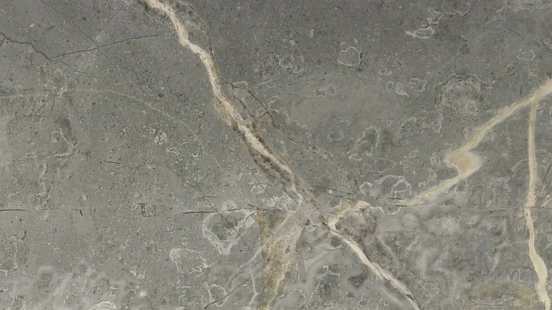 FIOR DI BOSCO MARBLE - Image 2