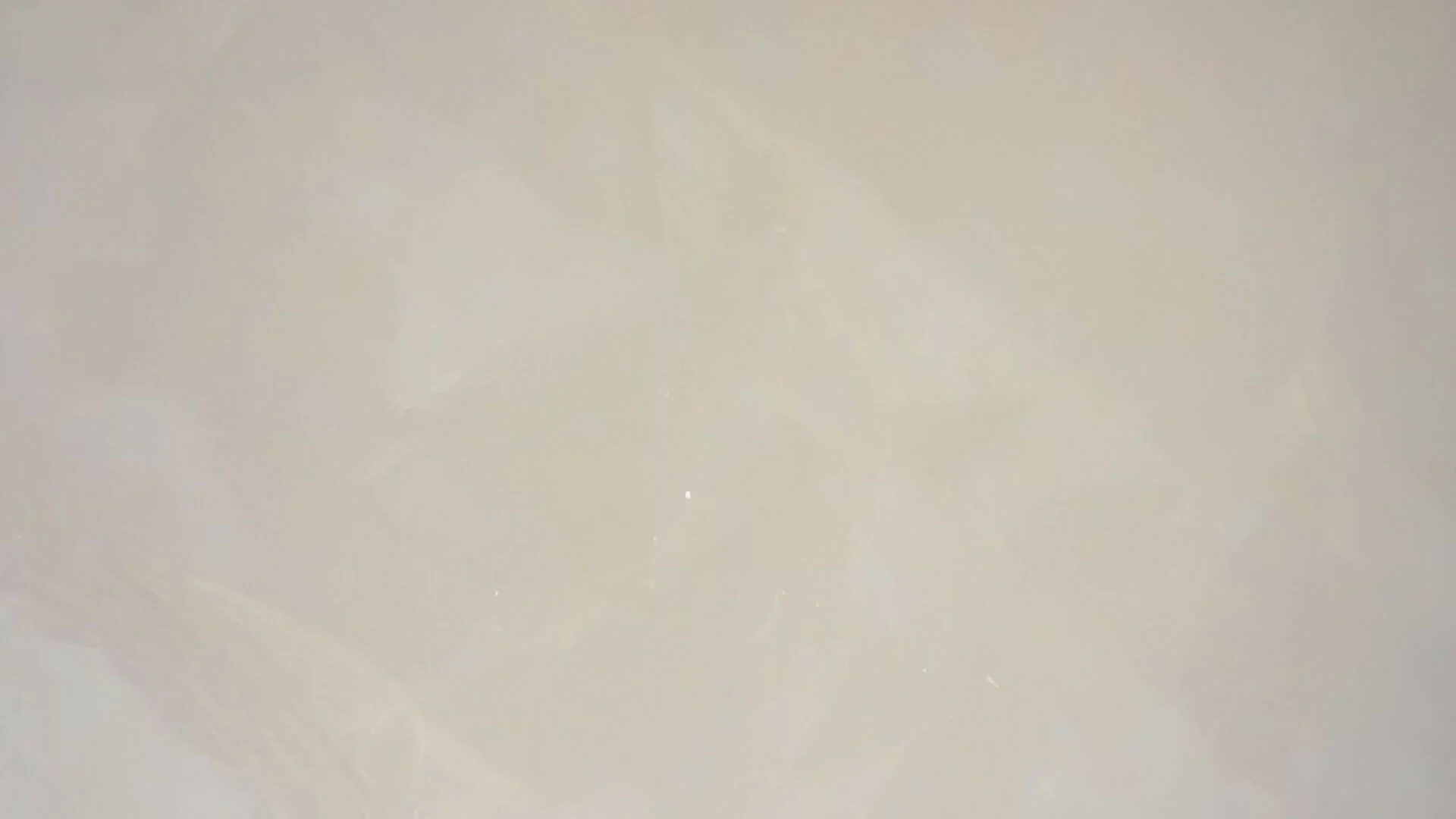 FLORESTA LIMESTONE - Image 2