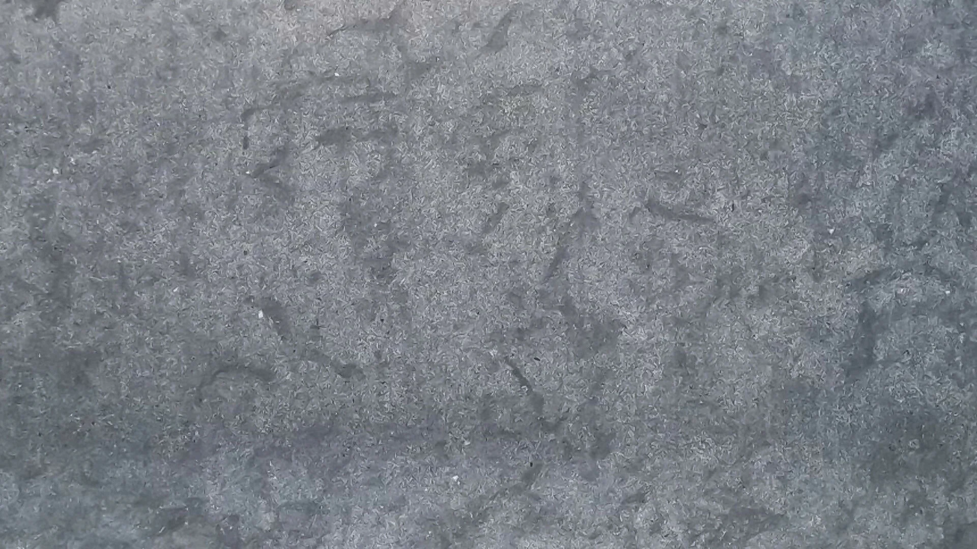 GRIS CATALAN LIMESTONE - Image 2