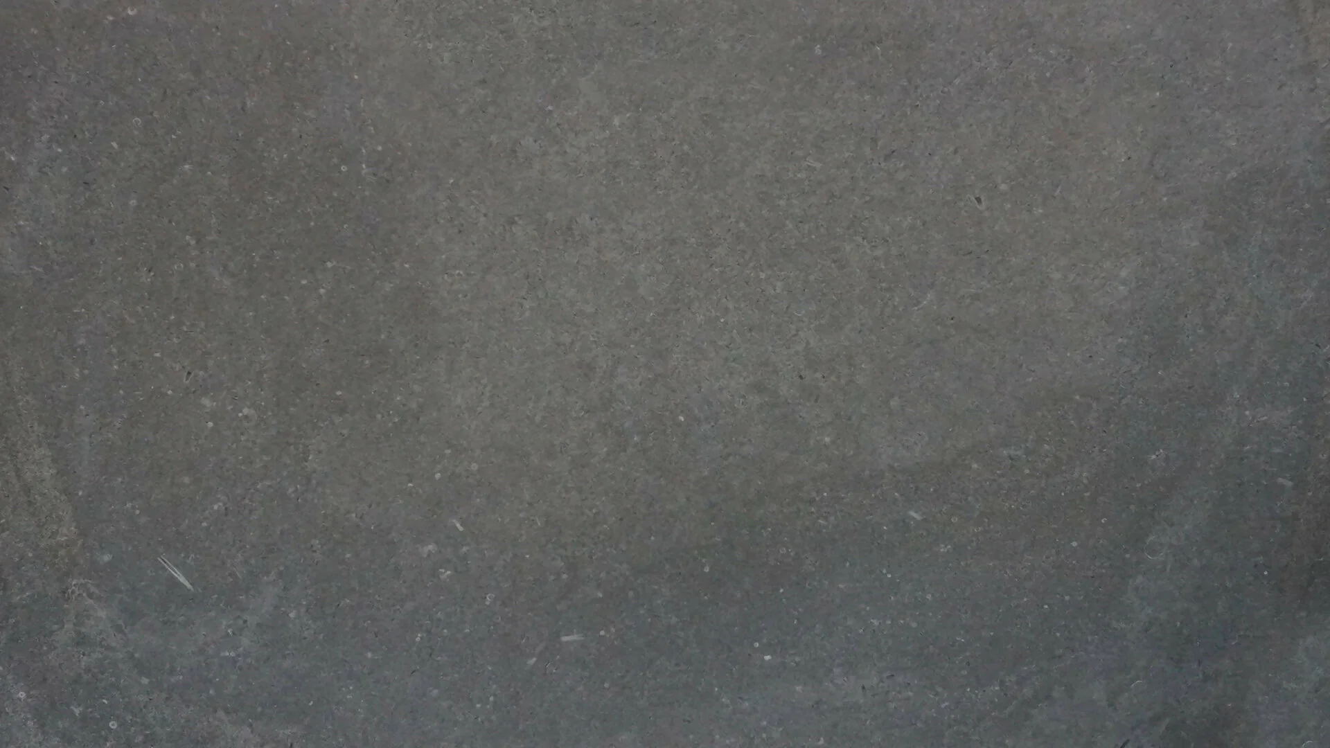 IRISH BLUE FOSSIL MARBLE - Image 2