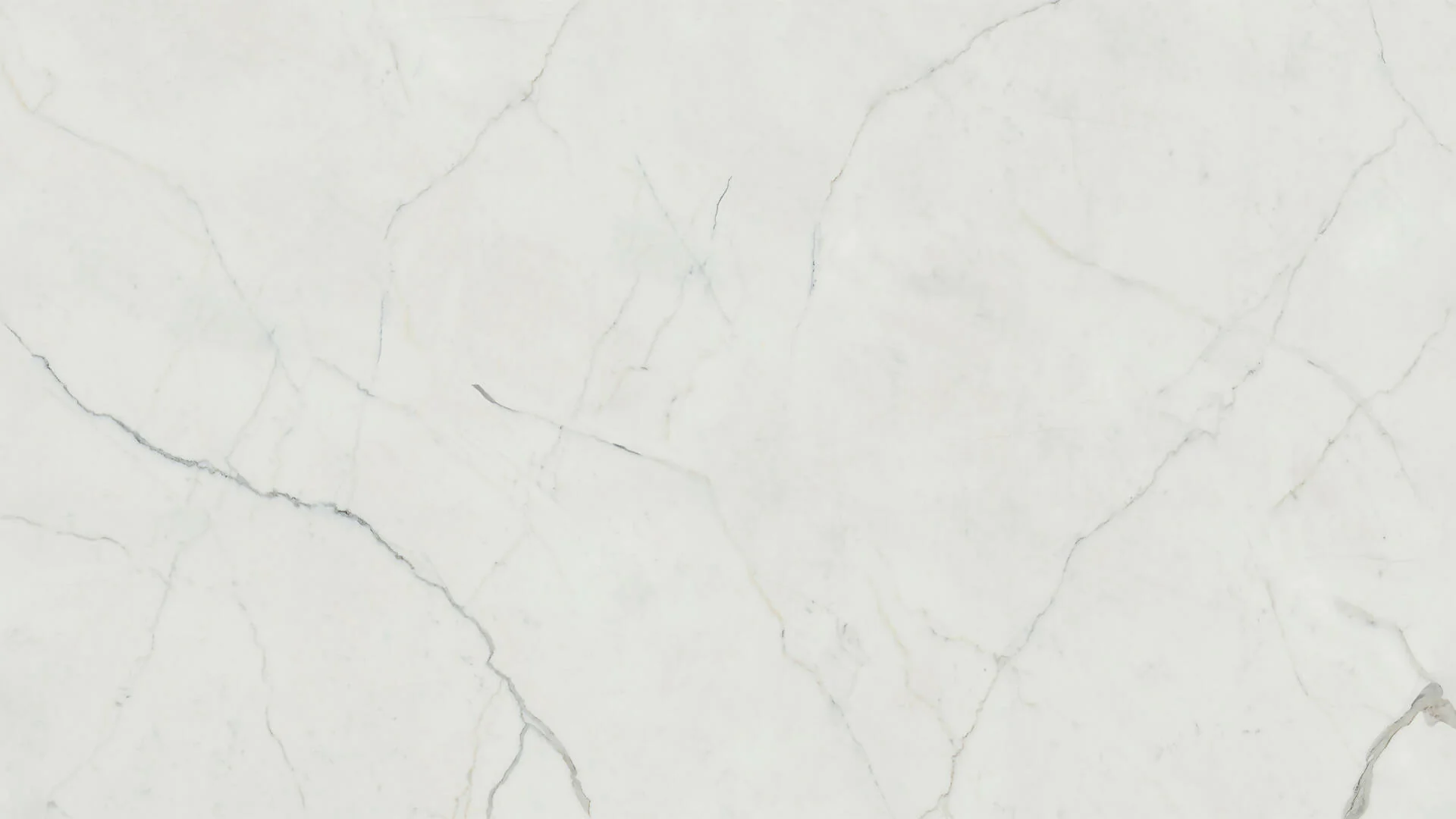 LUMENA SUPERNATURAL PORCELAIN - Image 2