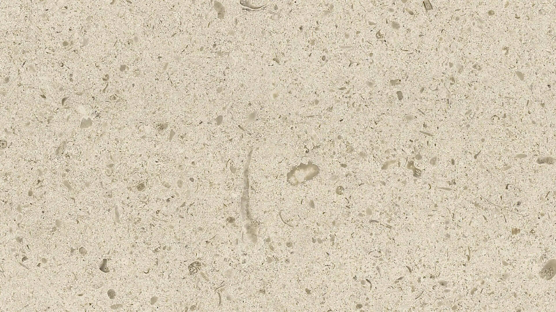 MOLIANOS EXTRA LIMESTONE - Image 2