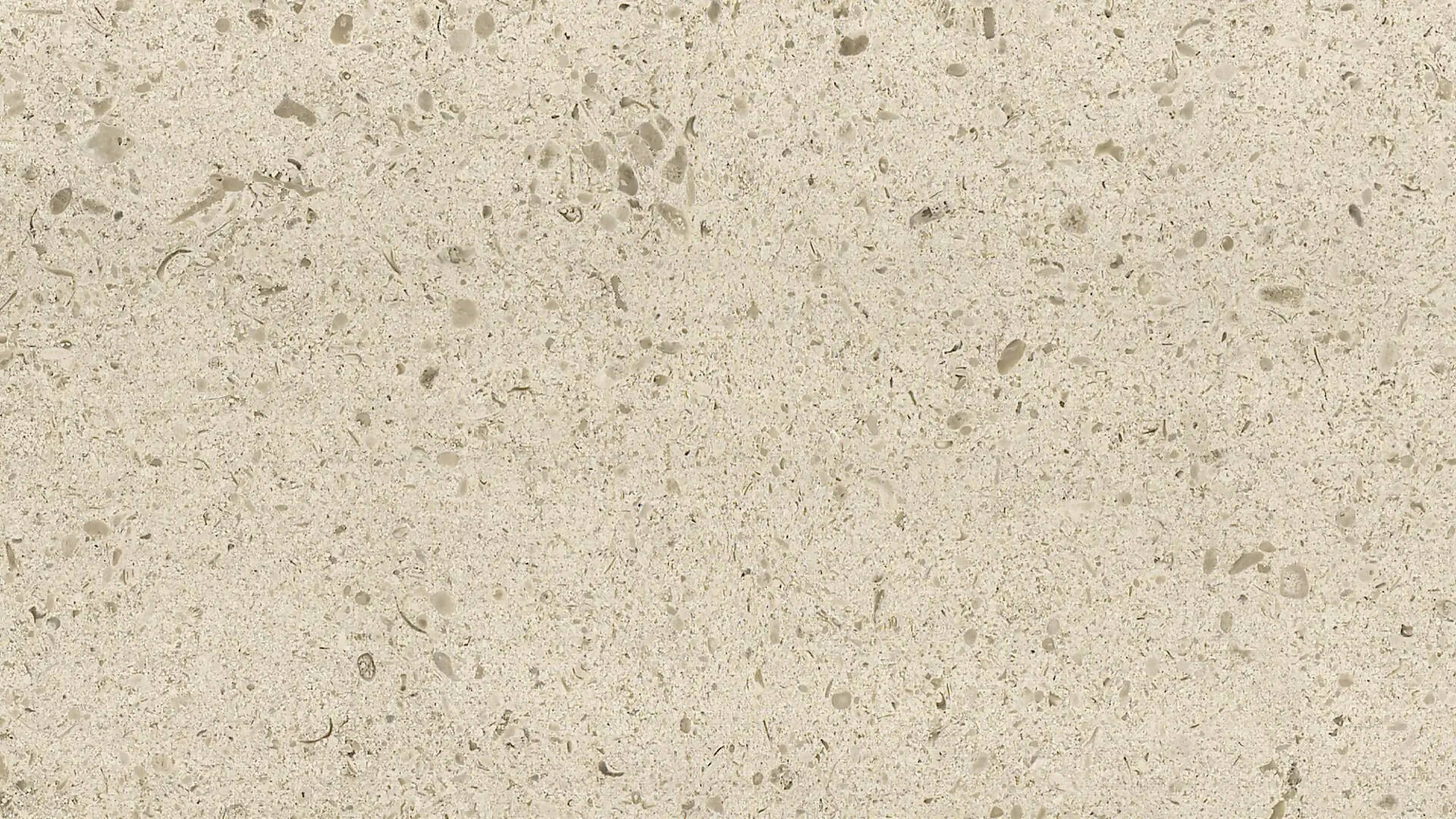 MOLIANOS EXTRA LIMESTONE - Image 3