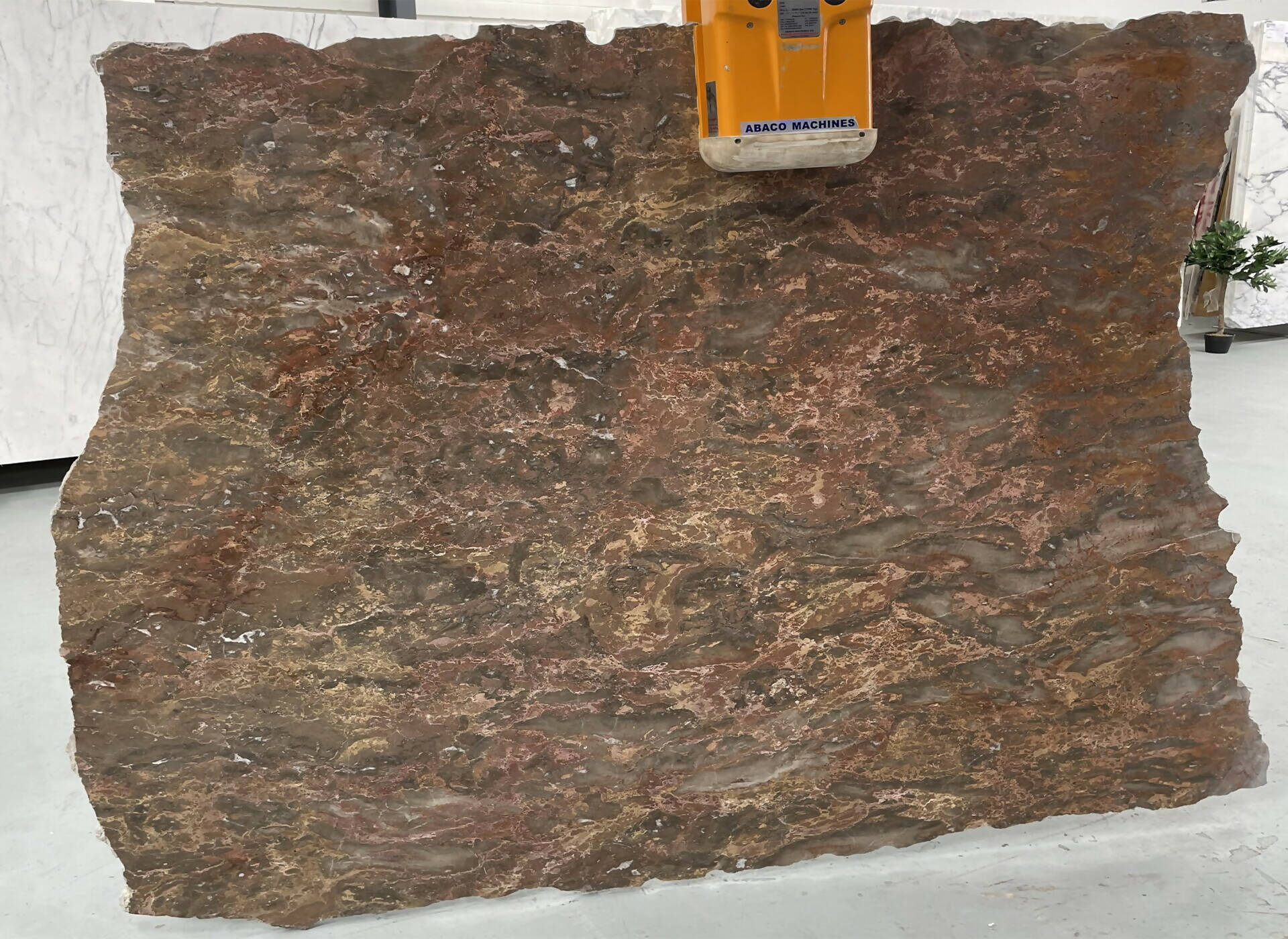 NAPOLEON GRAND MELANGE MARBLE - Image 2