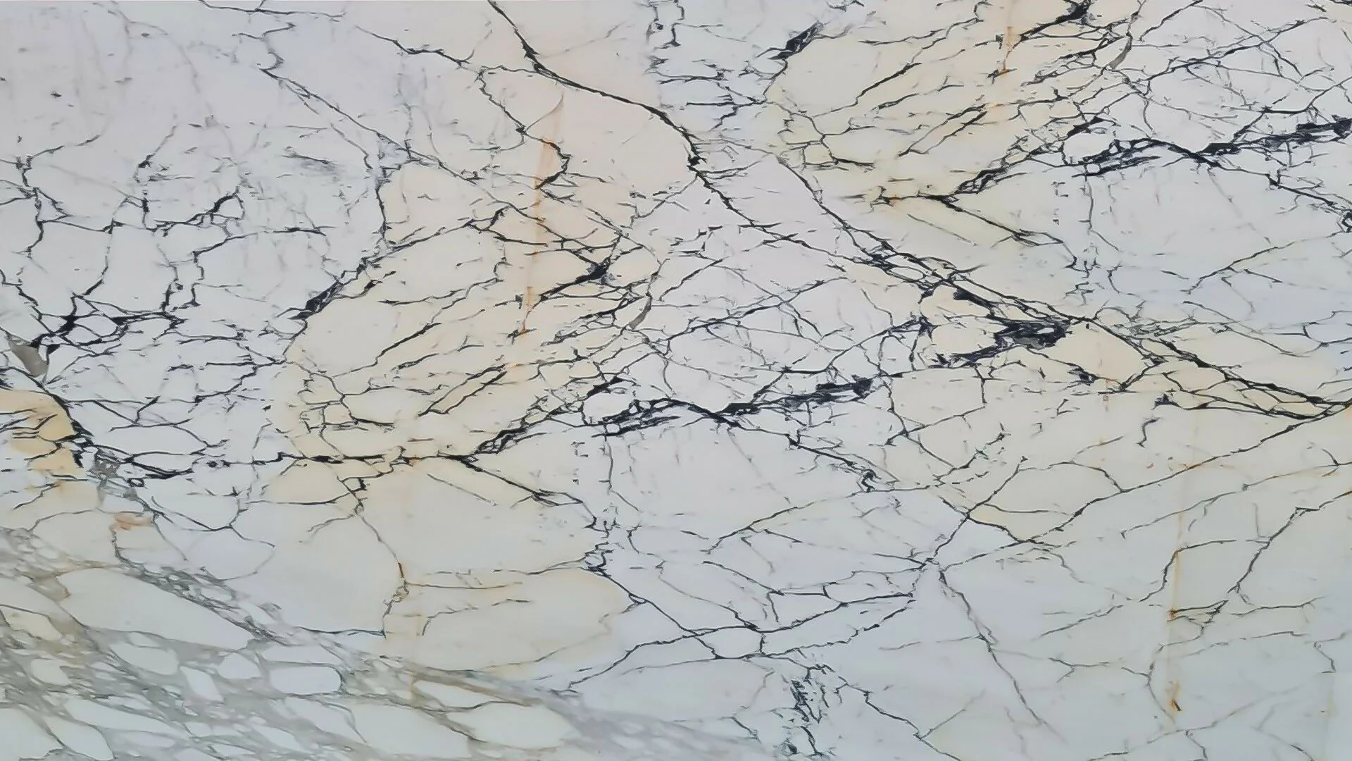 PAONAZETO MARBLE - Image 2