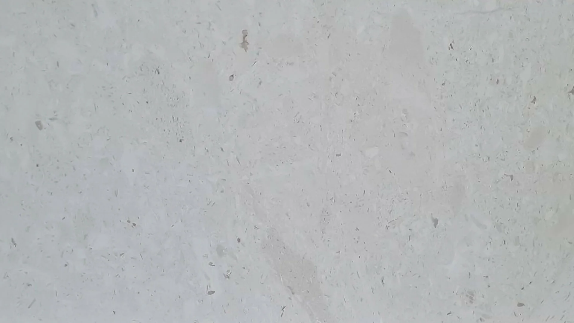 PELAGONIA LIMESTONE - Image 2