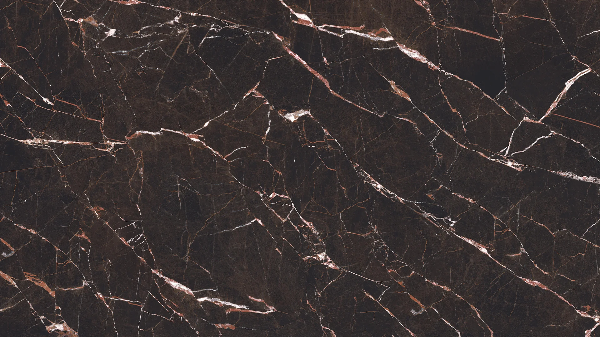 SAINT LAURENT NATURAL PORCELAIN - Image 3