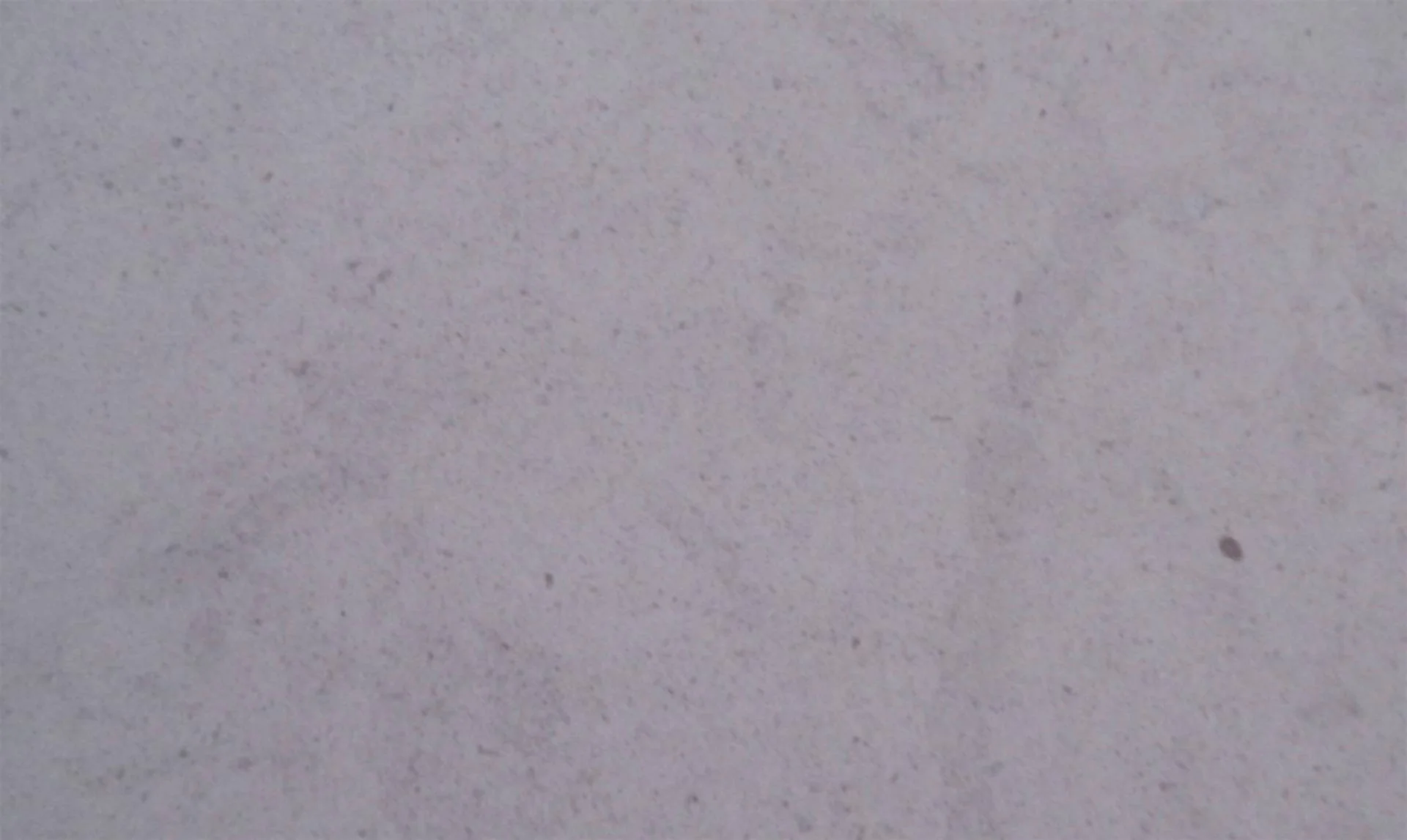 SEMI - NOVA LIMESTONE - Image 2