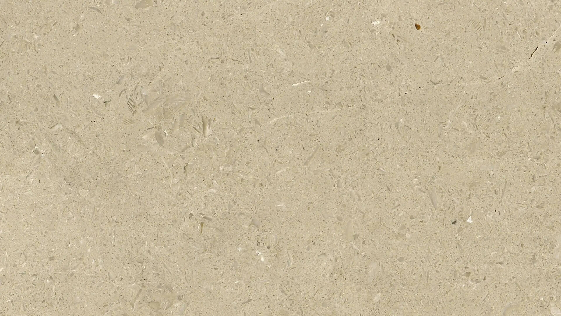 SIMYRA LIMESTONE - Image 2