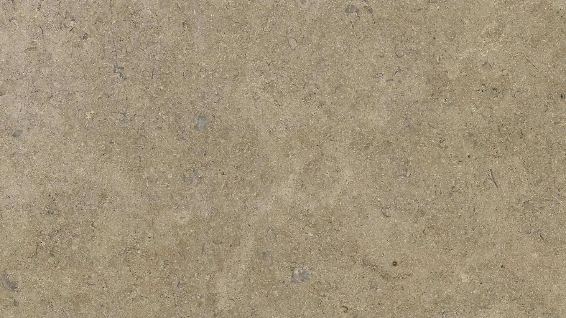 SINAI PEARL LIMESTONE - Image 2