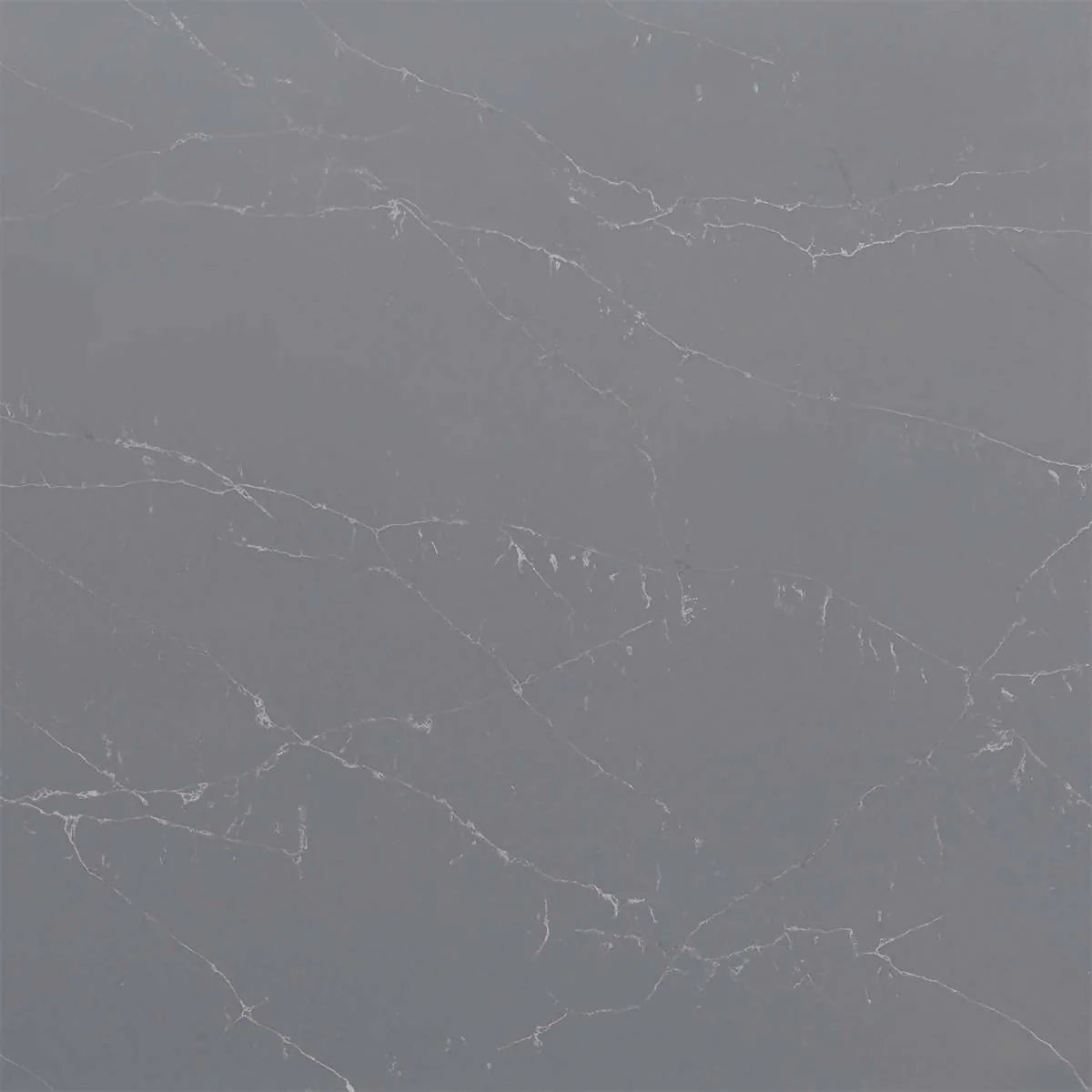 UNIQUE ARGENTO QUARTZ