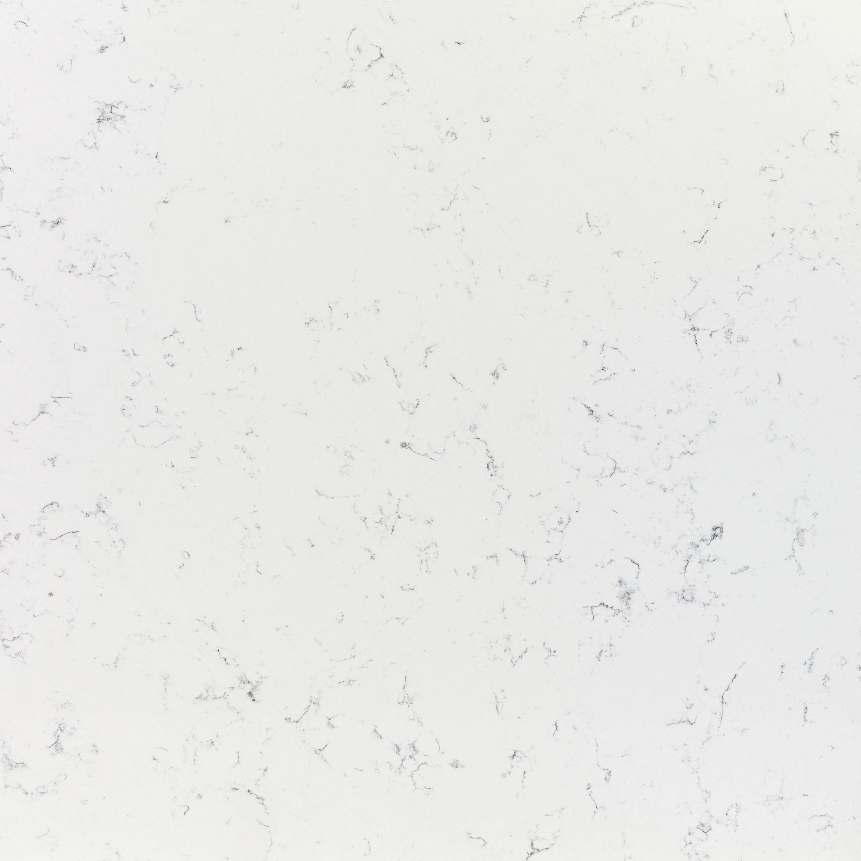 VEINED BERNINI QUARTZ